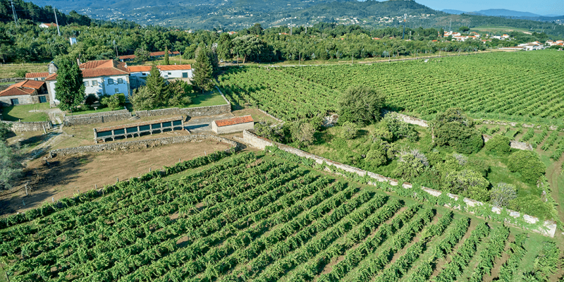 DRONE-MONCAO-DJI_0086-HD DRONE-MONCAO-DJI_0086-HD